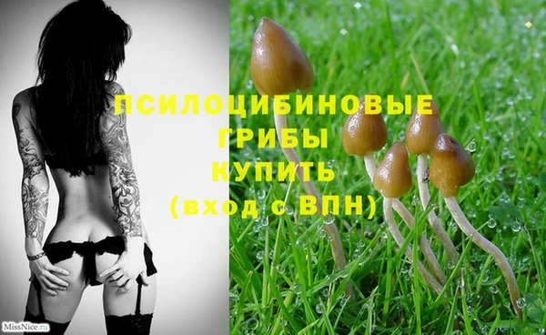 прущая мука Сафоново
